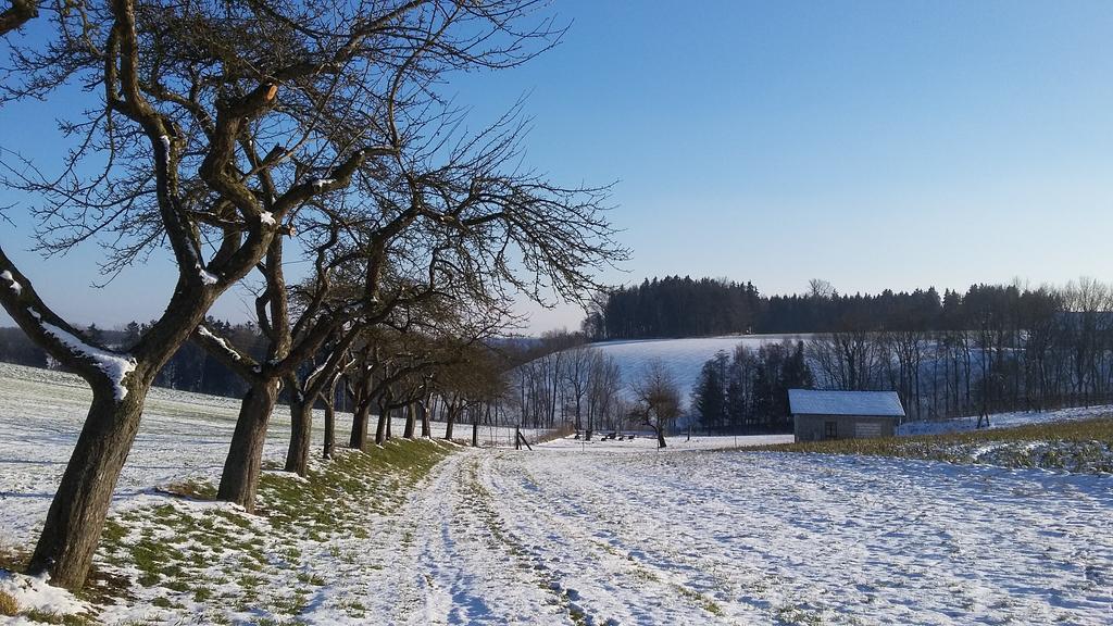 Pension Weinbauer Hofkirchen im Traunkreis Exterior foto